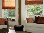 римские шторы в гостиной