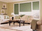 рулонные шторы в гостиной